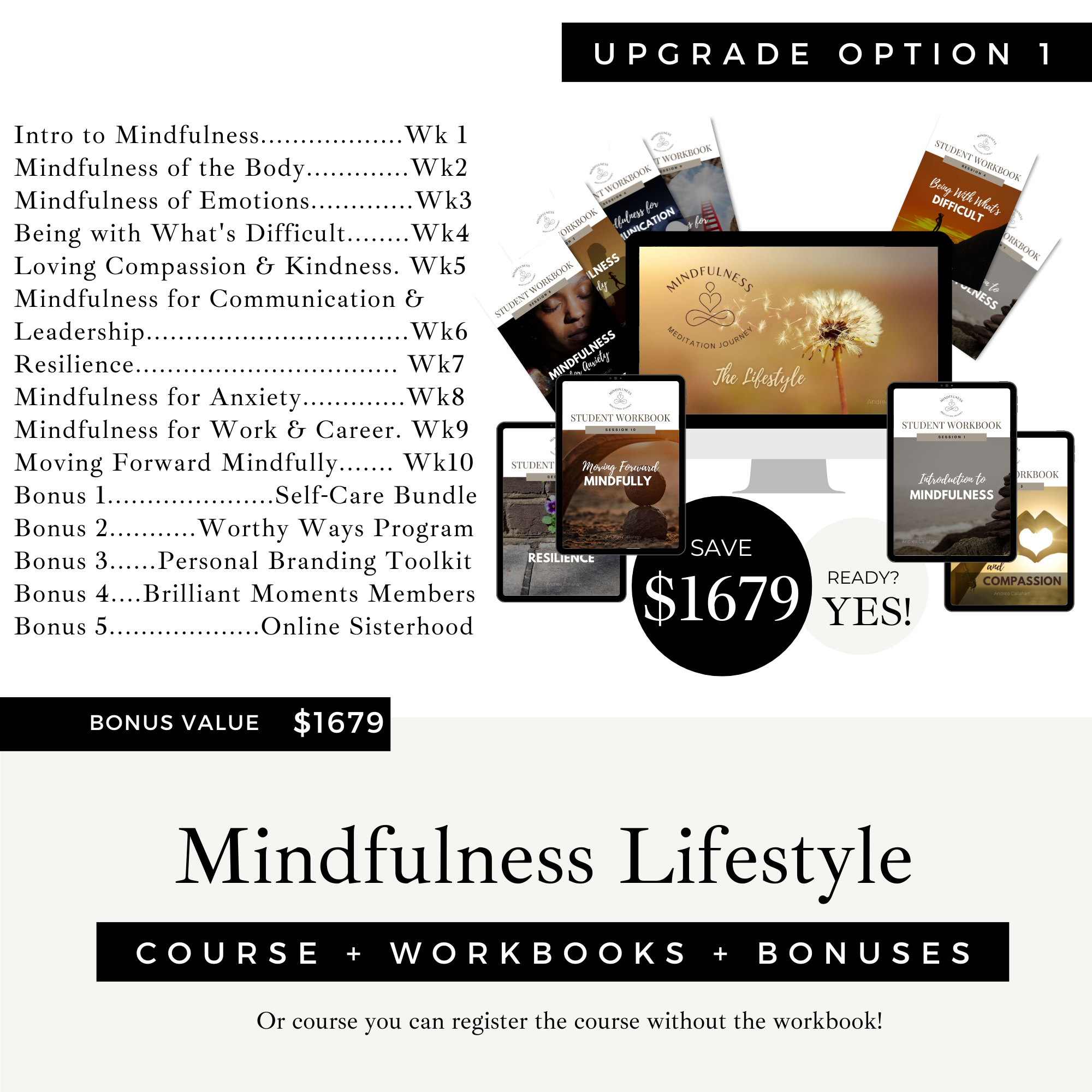 The Mindfulness Lifestyle Option 1 with Andrea Callahan